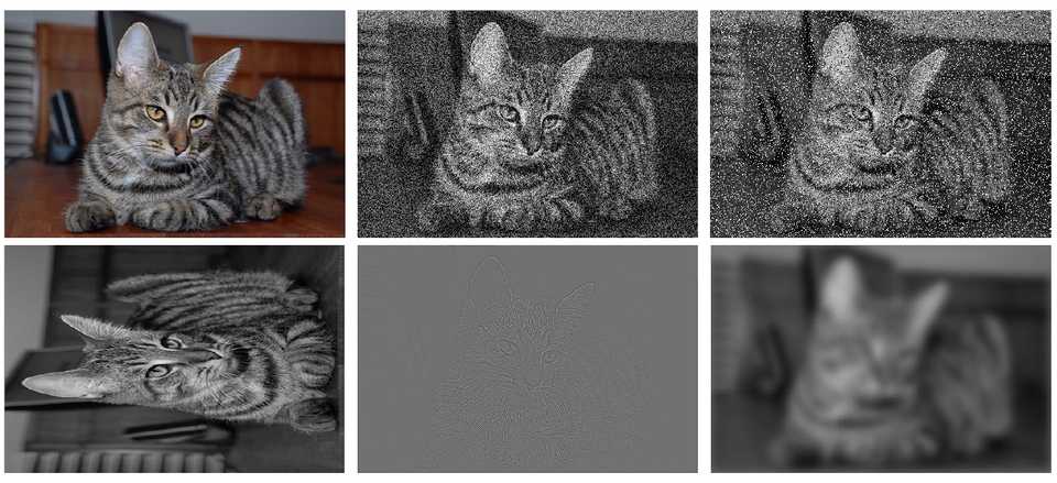 Sample noises in the **Tiny-16-Class-ImageNet** dataset